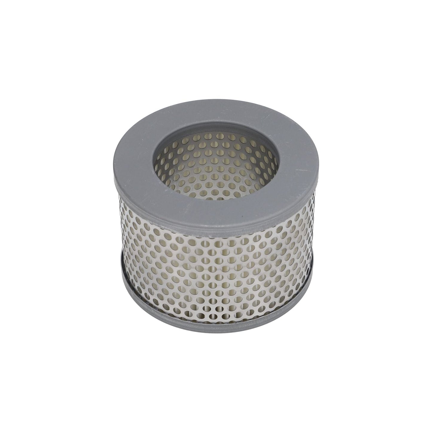 The Dust filter insert DF by Leybold North America Shop is a cylindrical metal air filter with a grey perforated shell and hollow center, shown against a white background.