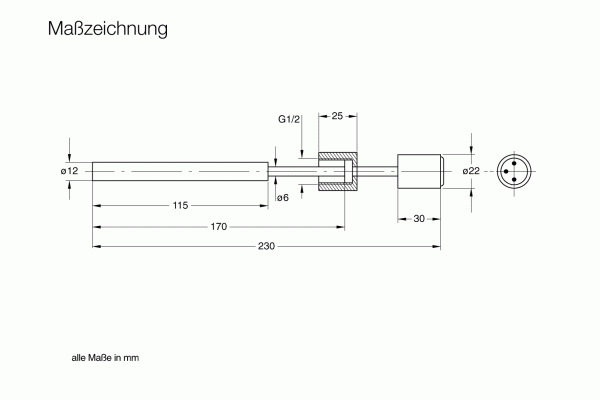 Maßzeichnung: Shows a Leybold North America Resistance Thermometer PT 100 Sensor, with dimensions in mm—threaded section G1/2", diameters 6, 12, 22 mm, and total length of 230 mm—for precise temperature measurement.