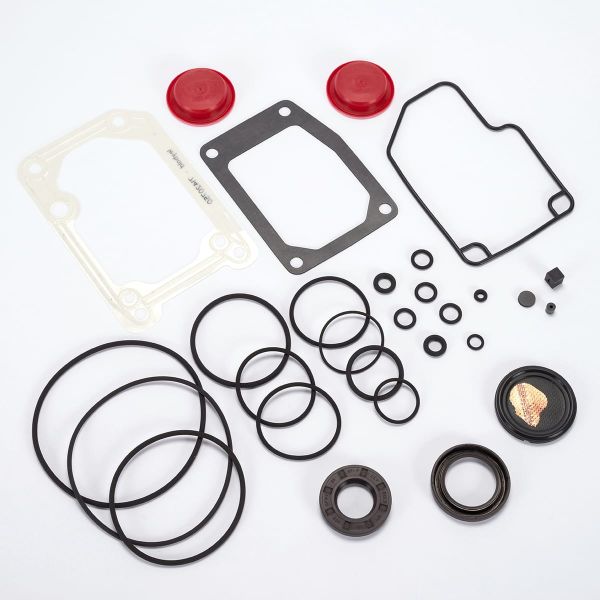 An assortment of gasket and seal components, including various O-rings, gaskets in different shapes and sizes, red round seals, small rubber pieces, and a metal piece with an amber seal, all arranged neatly on a white background can be found in the Seal Kit SOGEVAC SV 40 B / SV 40 BI - FPM from Leybold North America.